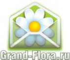 Логотип компании Доставка цветов Гранд Флора (ф-л г.Верхний Уфалей)